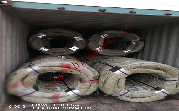 刺絲滾籠 刺絲滾籠