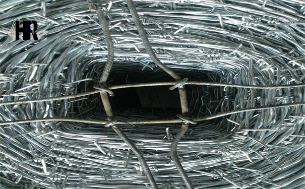 DSC_1331.jpg DSC_1331.jpg